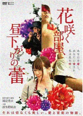 胶片修复工作台展示位